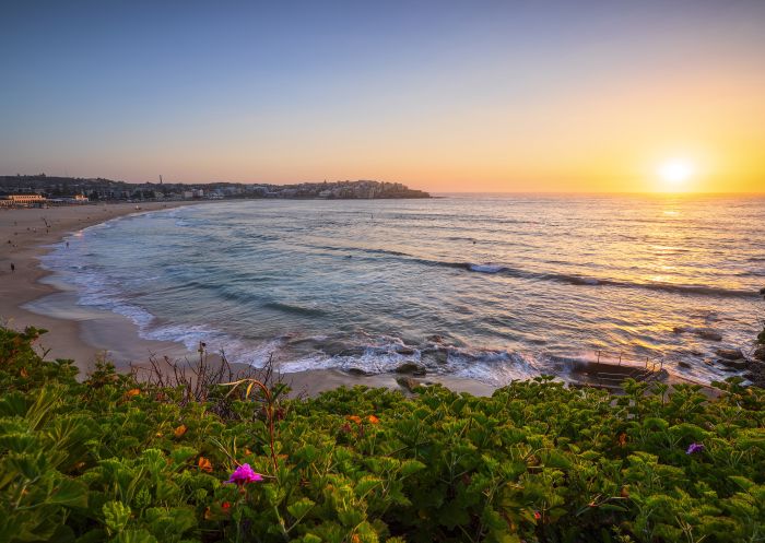 Bondi Beach