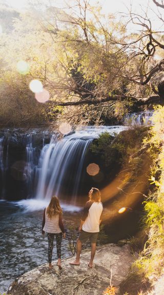 Nellies Glen, Budderoo National Park